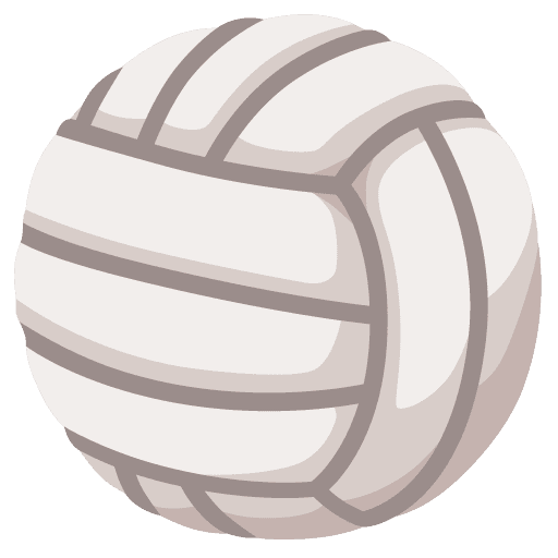 Google 🏐