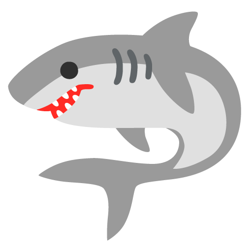 Google 🦈
