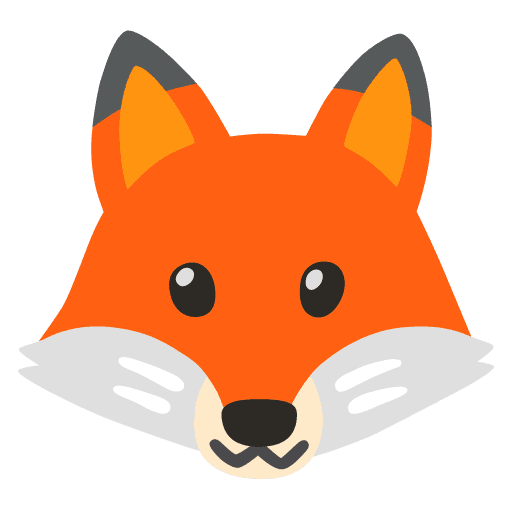 Google 🦊