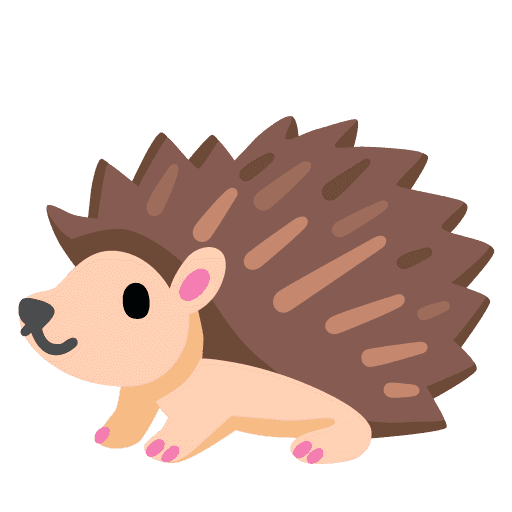 Google 🦔
